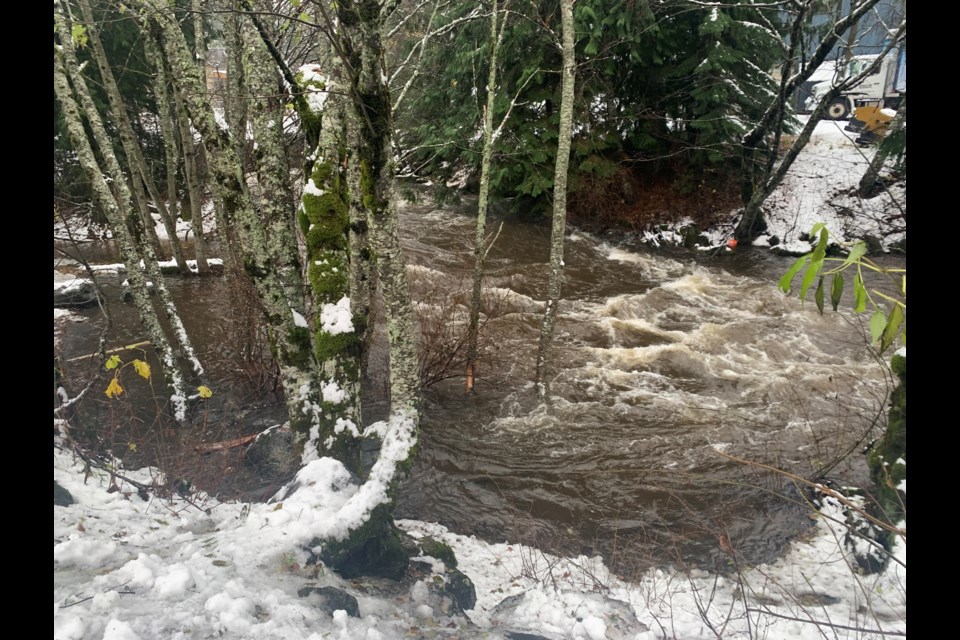 High water levels on Millar Creek in Whistler on Sunday, Nov. 14. The River Forecast Centre is expecting water levels on local creeks to rise again in the coming days with more storms expected.