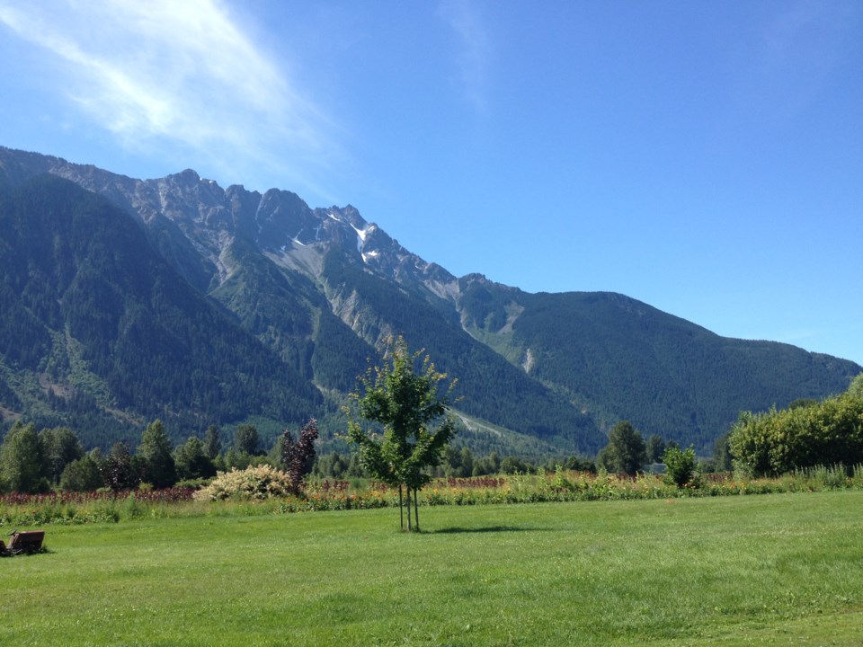 Pemberton Valley from Sturdy's North Arm Farm 