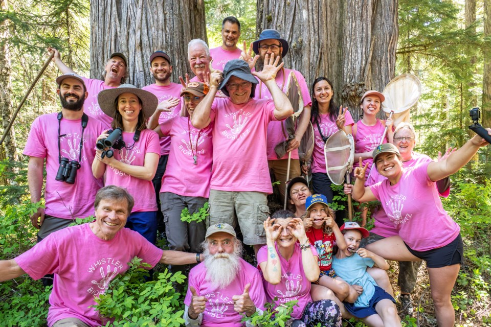 During the 19th annual Whistler BioBlitz, more than 500 students from Spring Creek, Myrtle Philip and the Whistler Waldorf School took part in interactive sessions on topics ranging from animal tracks and pond life to plant-fungi interactions and food chains.