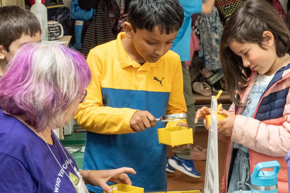 Pam Janszen introduces enthusiastic Myrtle Philip students to slime moulds.
