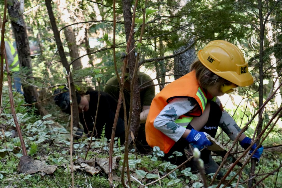 Residents old and young gathered to FireSmart their properties on May 11.
