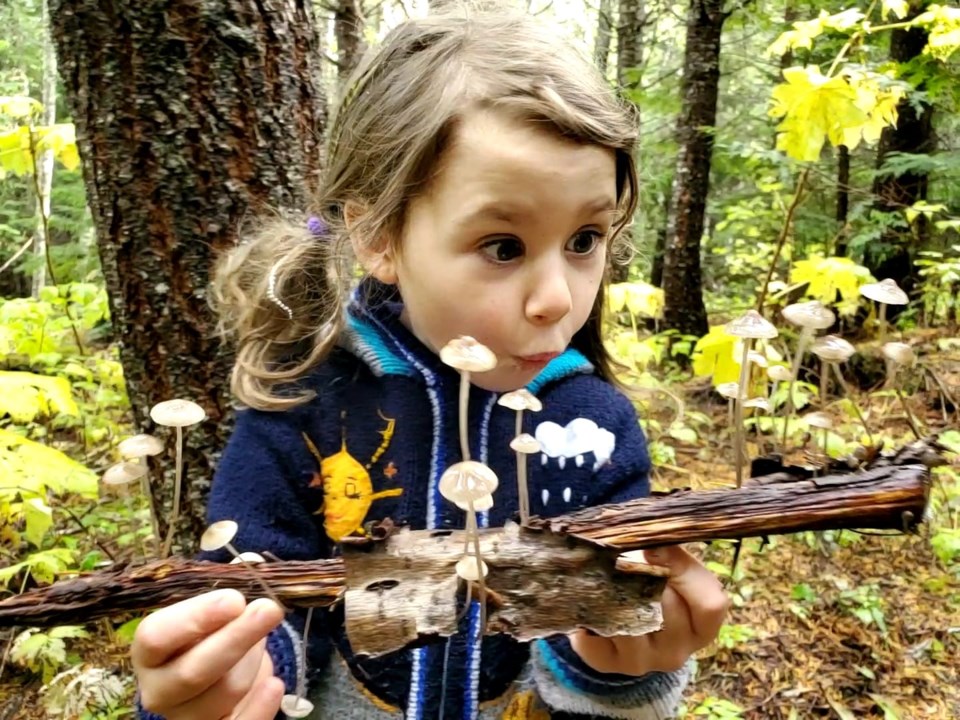 Fungal Fun in Whistler at Fungus Among US (Adam Smith)
