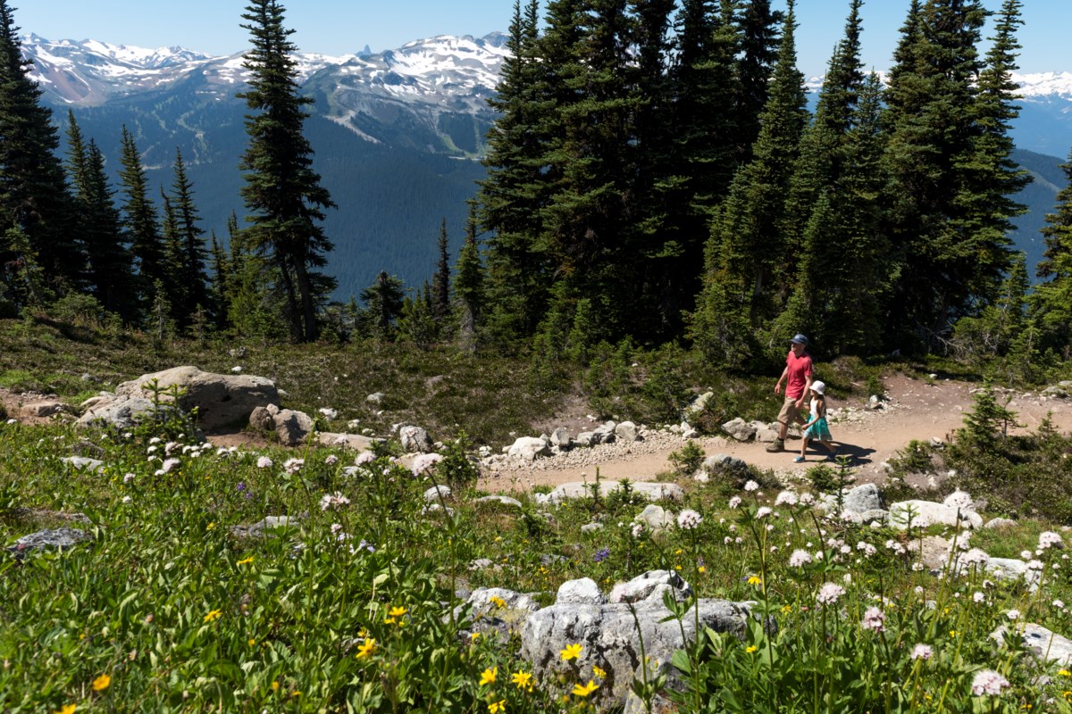 Fourth annual Hike for Health on the horizon