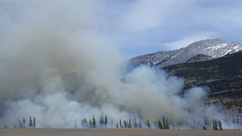 wildfire smoke stock