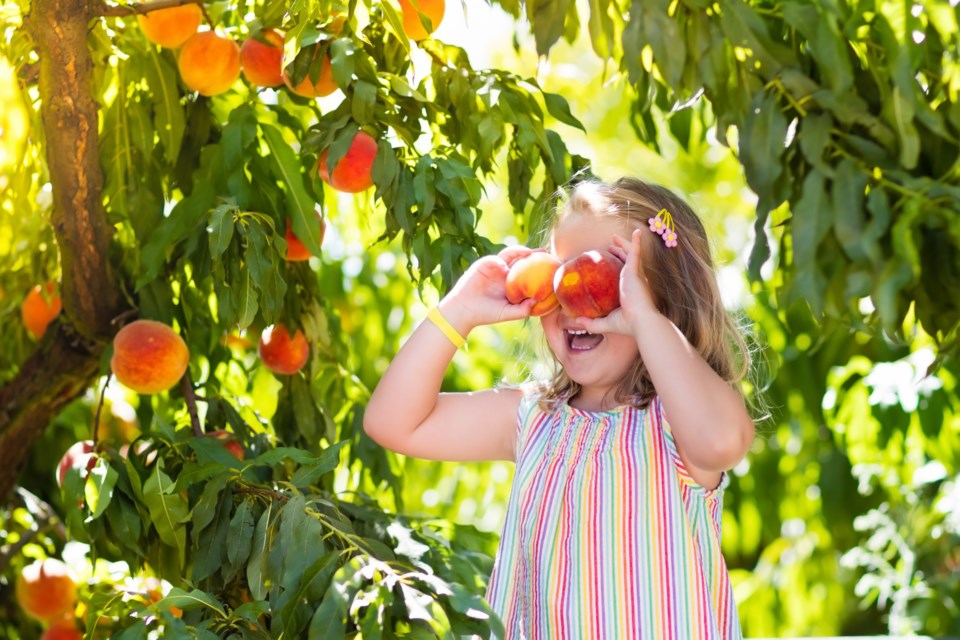 glenda-peaches-july-19