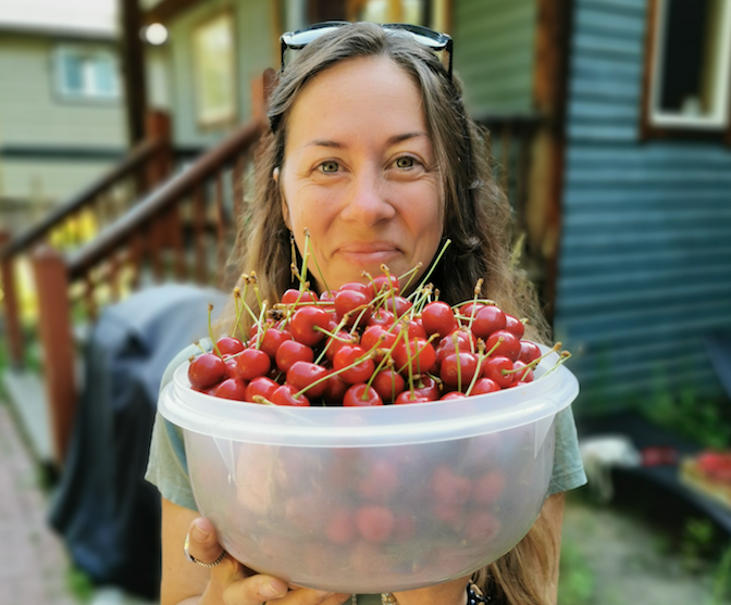 Pemberton Fruit Tree project - cherry picking 
