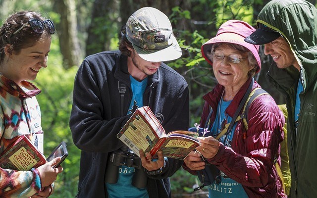n-bioblitz_web_