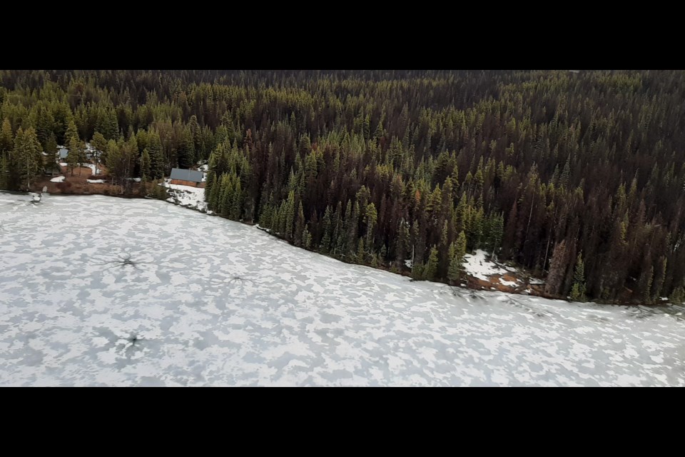 BC Parks plans to build a new ranger station behind the clearing pictured on the right side of the image, taken on May 31. BC Parks has used the cleared area as a helipad since 2009. Photo courtesy of Dennis Perry 