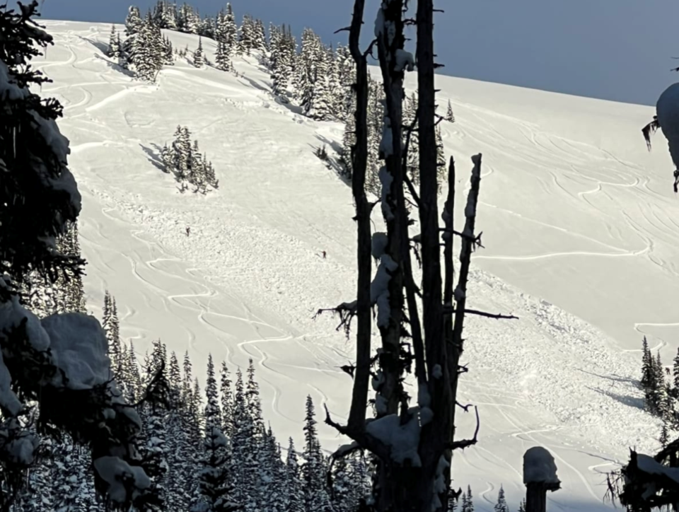 avalanche-canada-march-12-update