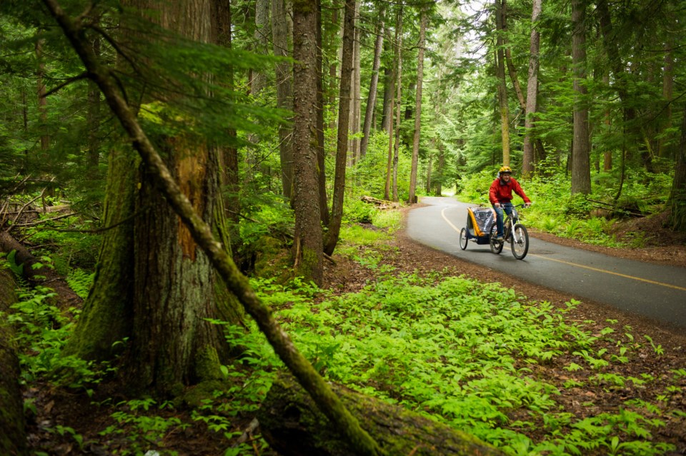 BikingWhistlerValleyTrail