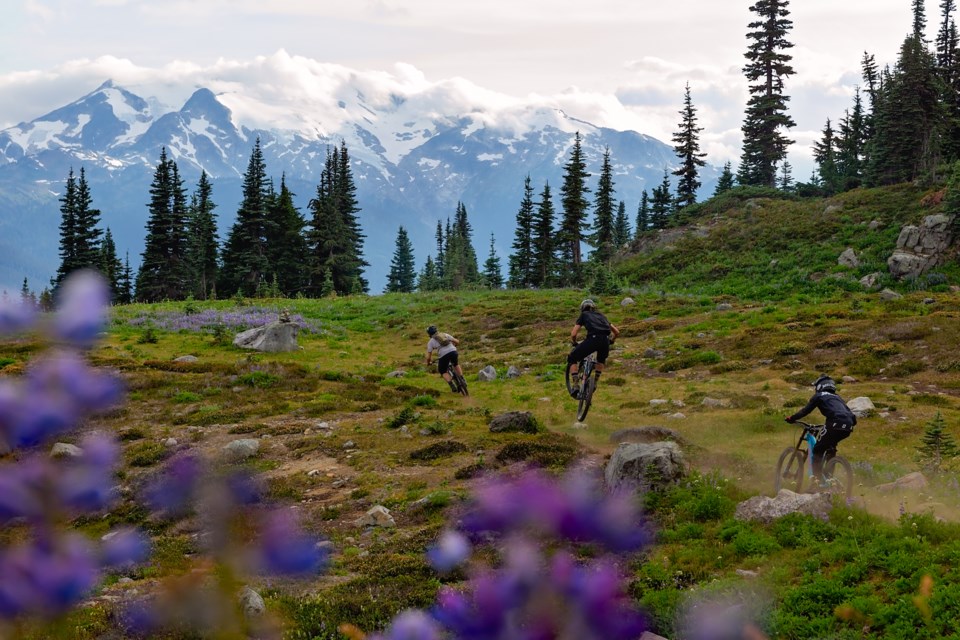AlpX Expeditions' new Sea to Sky heli-biking trail, scheduled to open in summer 2022.