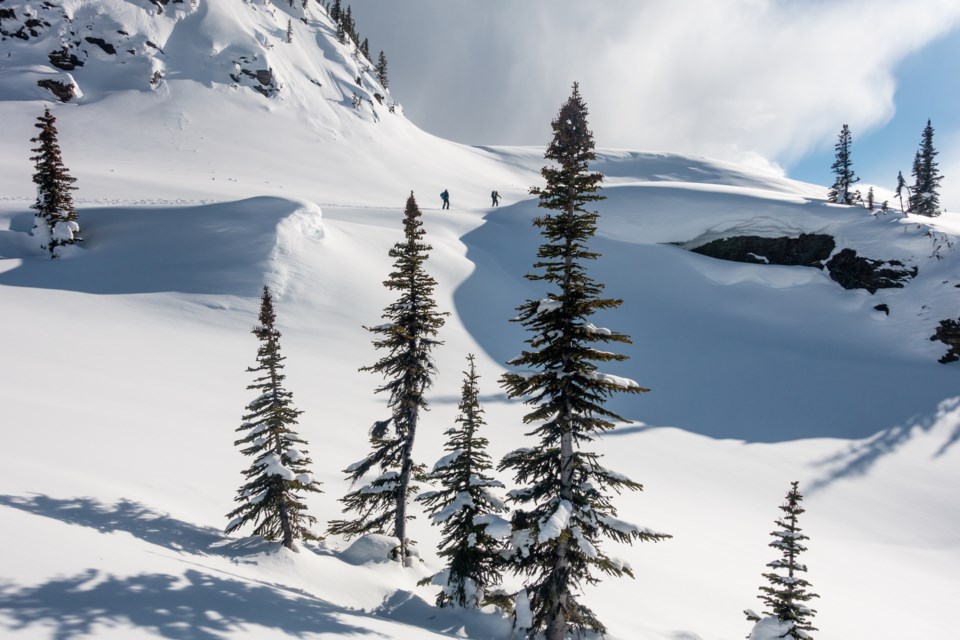BackcountrySkiinsMonasheesBC