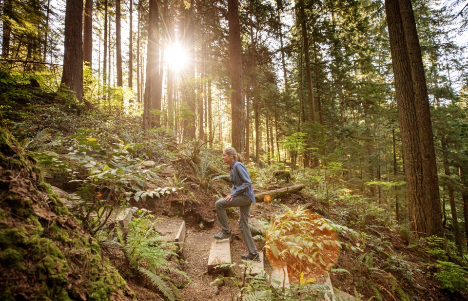 hiking trail in southwest BC