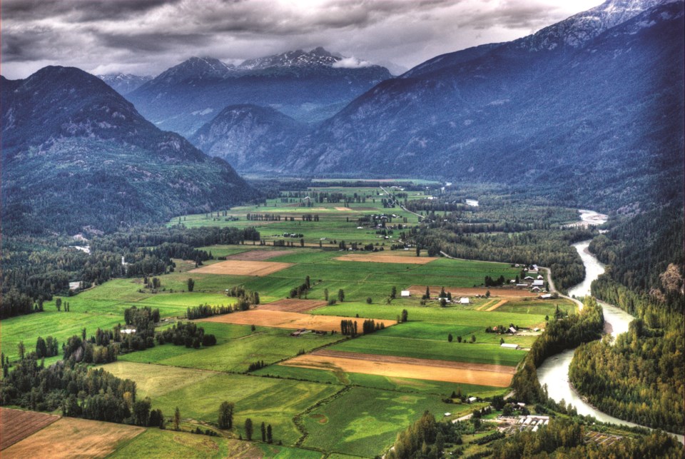 n-pemberton1-housing-by-dave-steers-getty-images