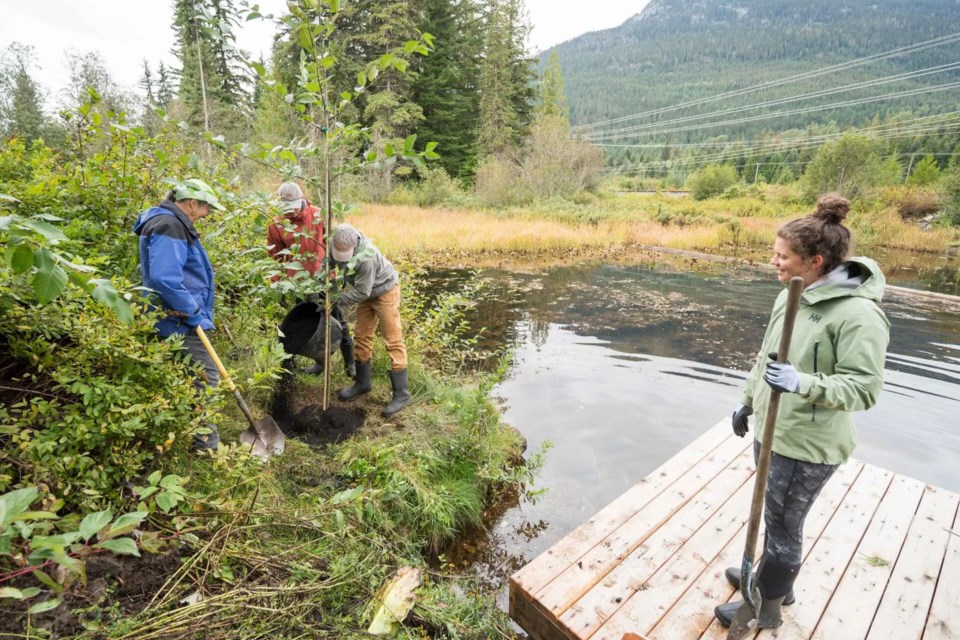 n-river-of-golden-dreams-planting-web-3144-photo-by-pinpoint-photography-and-tree-canadacourtesy-of-rmow
