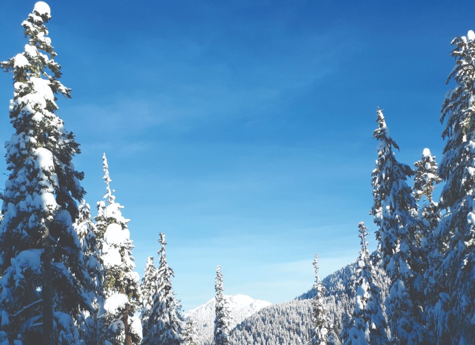 naturespeak-january-2023-medium