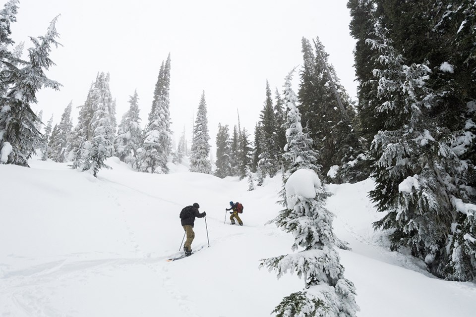 pemberton backcountry storm conditions