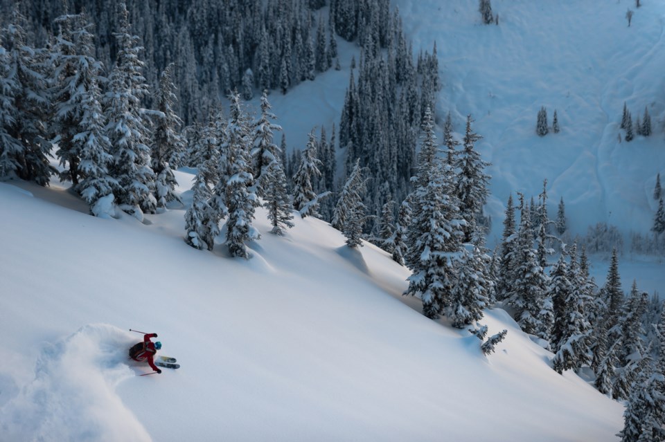 whistler bc backcountry skiing trees