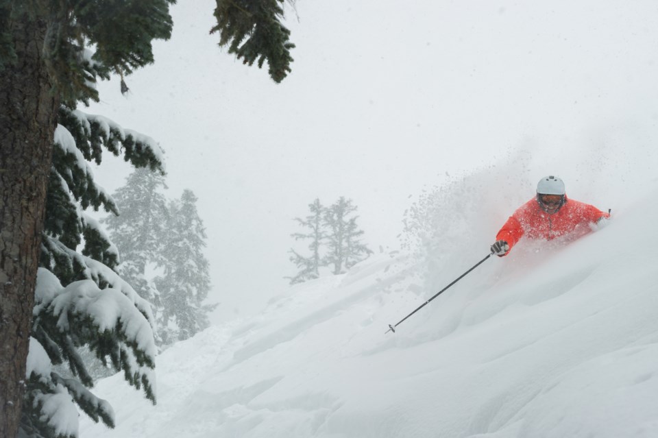 whistler blackcomb powder skiing