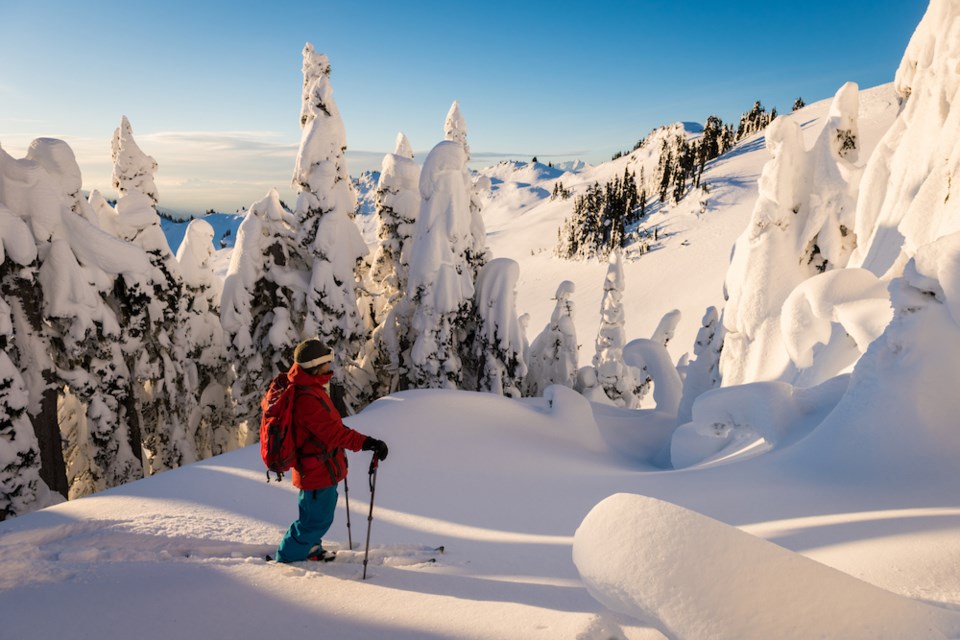 whistler britich columbia backcountry skiing avalanche awareness