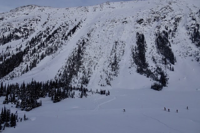 whistler poop chutes avalanche feb. 12 wayne flann