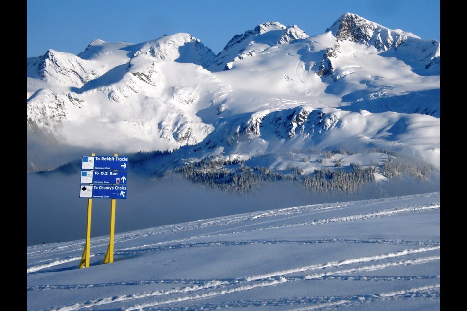Whistler Blackcomb and Vail Resorts have donated 36 decommissioned trail signs that the Whistler Blackcomb Foundation will auction off for charity this May. 