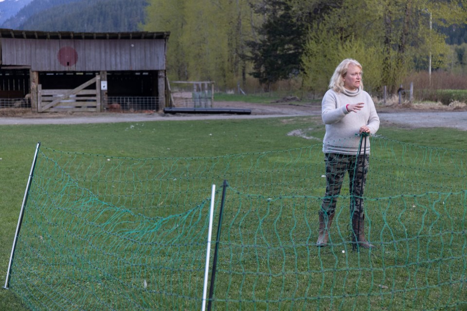 N-Grizzly Fence Workshop 29.18 PHOTO BY TAYLOR GREEN-GRIZZLY BEAR FOUNDATION