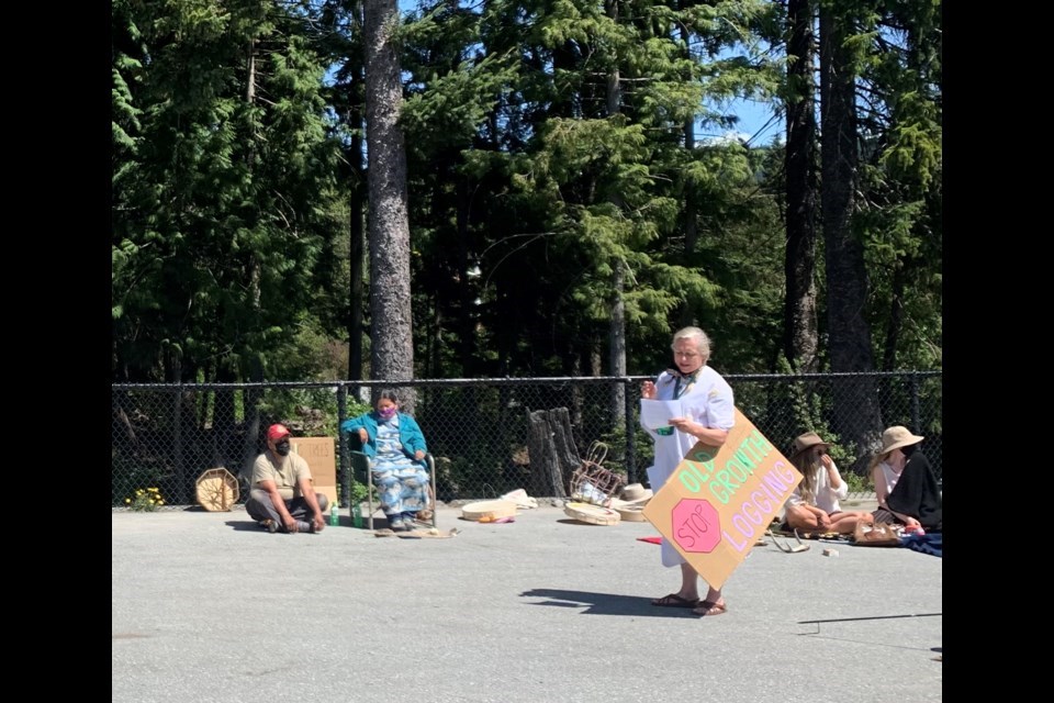 cheakamus-community-forest---whistler-old-growth-forest-protest---may-16---12