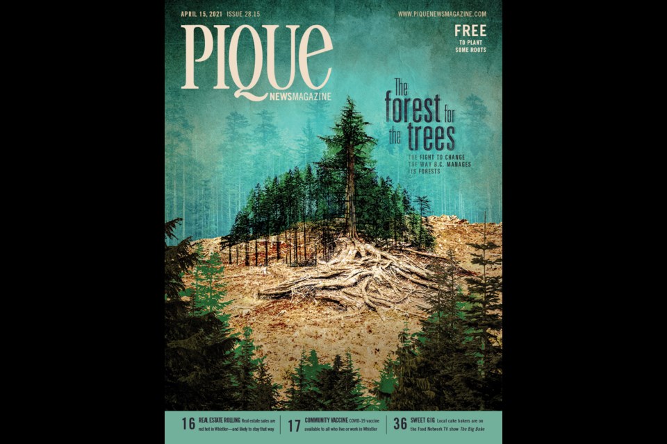 The forest for the trees:
The fight to change the way B.C. manages its forests