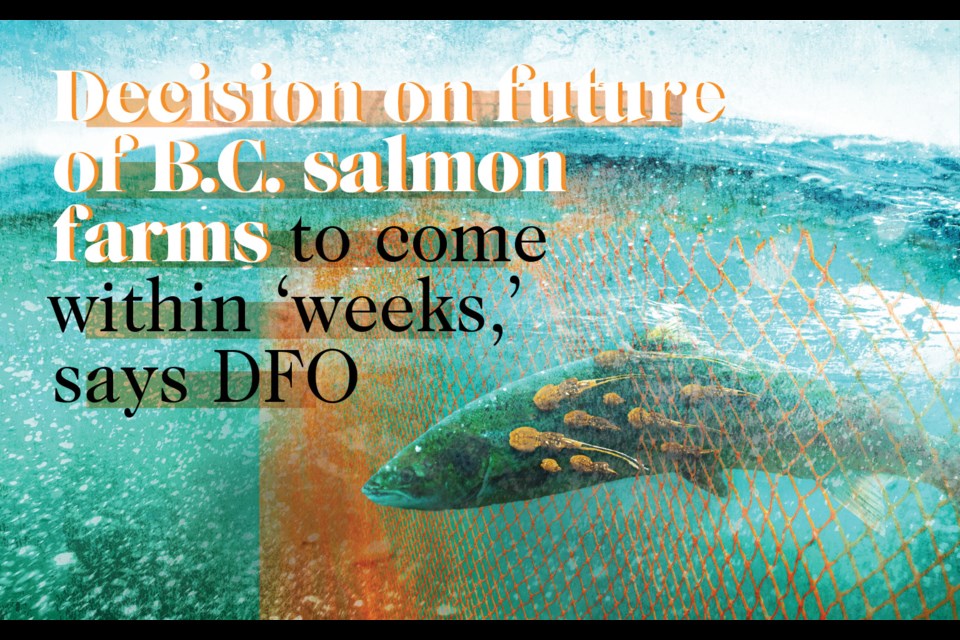 Decision on future of B.C. salmon farms to come within ‘weeks,’ says DFO
Ottawa says it is within weeks of making a decision on the province’s salmon farm industry—a move meant to protect wild Pacific salmon from disease.