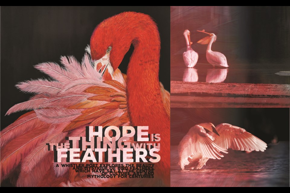 Hope is the Thing with Feathers.
A Whistler poet explores the beauty and mystique of bird feathers, which have sat at the centre of culture, art and mythology for centuries 