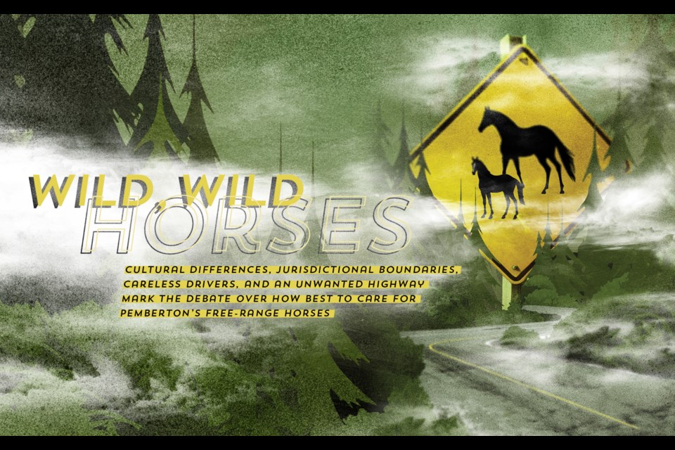 Wild, wild horses. 
Cultural differences, jurisdictional boundaries, careless drivers, and an unwanted highway mark the debate over how best to care for Pemberton’s free-range horses