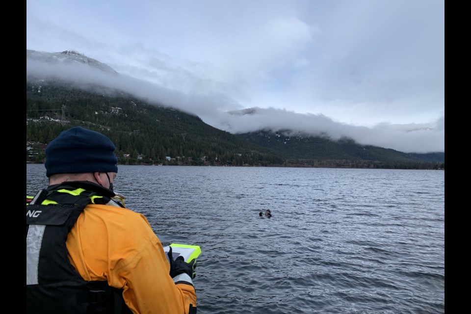 A Whistler firefighter tests out the AquaEye on a diver in a simulated rescue last week. 
PHOTO BY BRANDON BARRETT