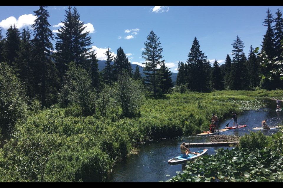 PADDLE POWER With the sun finally out this past weekend, the River of Golden Dreams was a busy place for paddleboards and other water recreation.
Photo by Braden Dupuis