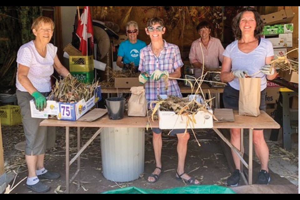 BULB BUDDIES Volunteers from local non-profit Friends of the Whistler Public Library got to work recently prepping bulbs for the group’s upcoming Bulb Sale fundraiser in September. 