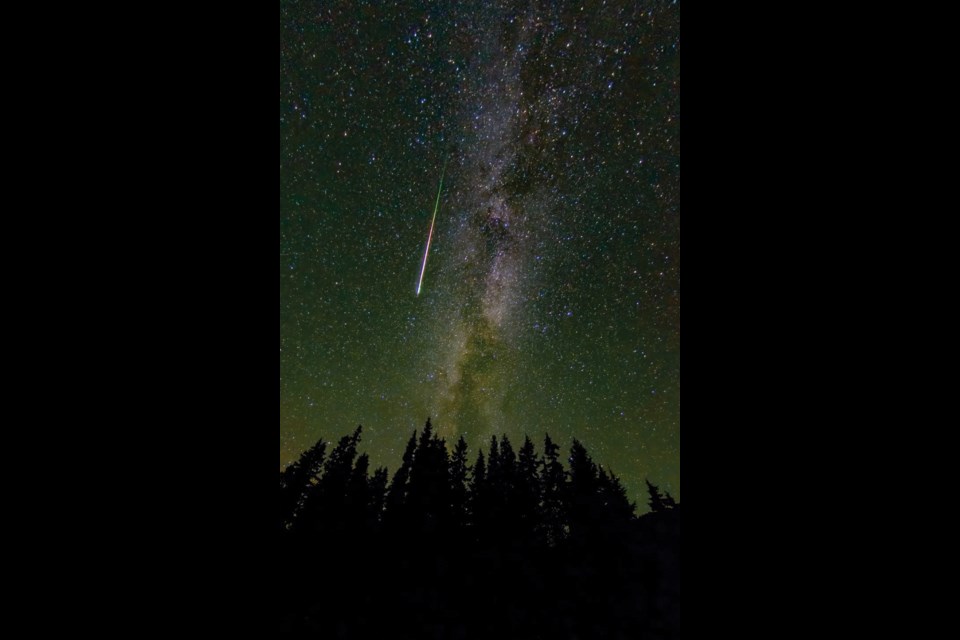 STARRY NIGHT The Perseids Meteor shower, as seen from the alpine on a peak just south of Whistler on Wednesday, Aug. 11. 