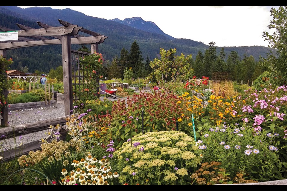 FLOWER POWER The Cheakamus Community Gardens are in full bloom. 