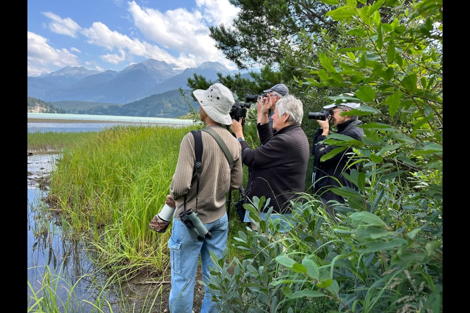 LOOKING UP Bird watchers travelled from near and far to catch a glimpse of the exceptionally rare Scissor-tailed Flycatcher in Whistler’s skies. For more, flip back to page 20. 