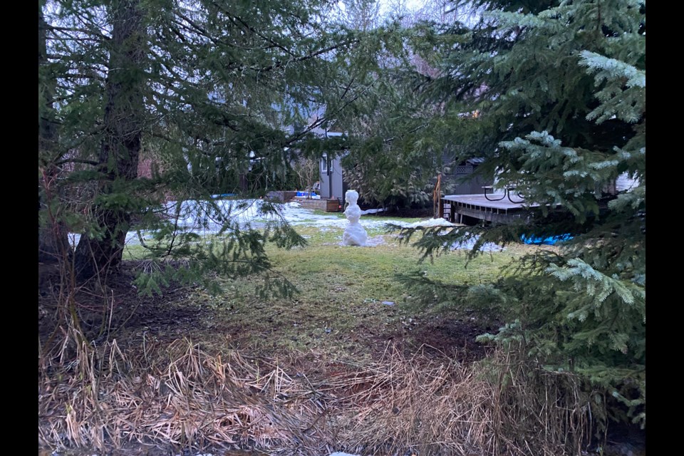 NO, MAN A single, solitary snowman soaks up what little snow the Whistler Valley received in the lead-up to Christmas 2023. 