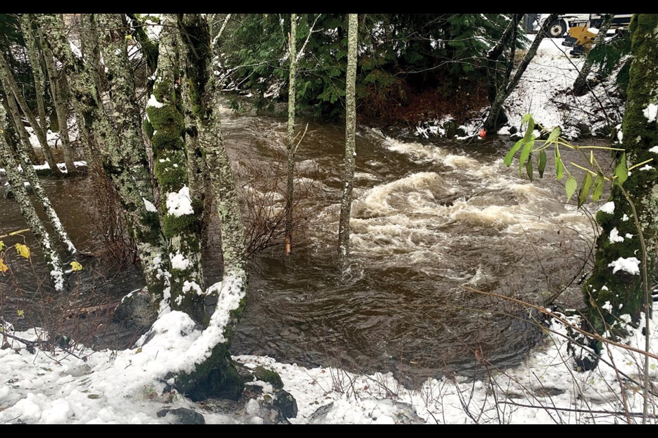 FLOOD WATCH Millar Creek in Function Junction was running high and fast after some heavy rainfall on Sunday, Nov. 14. 