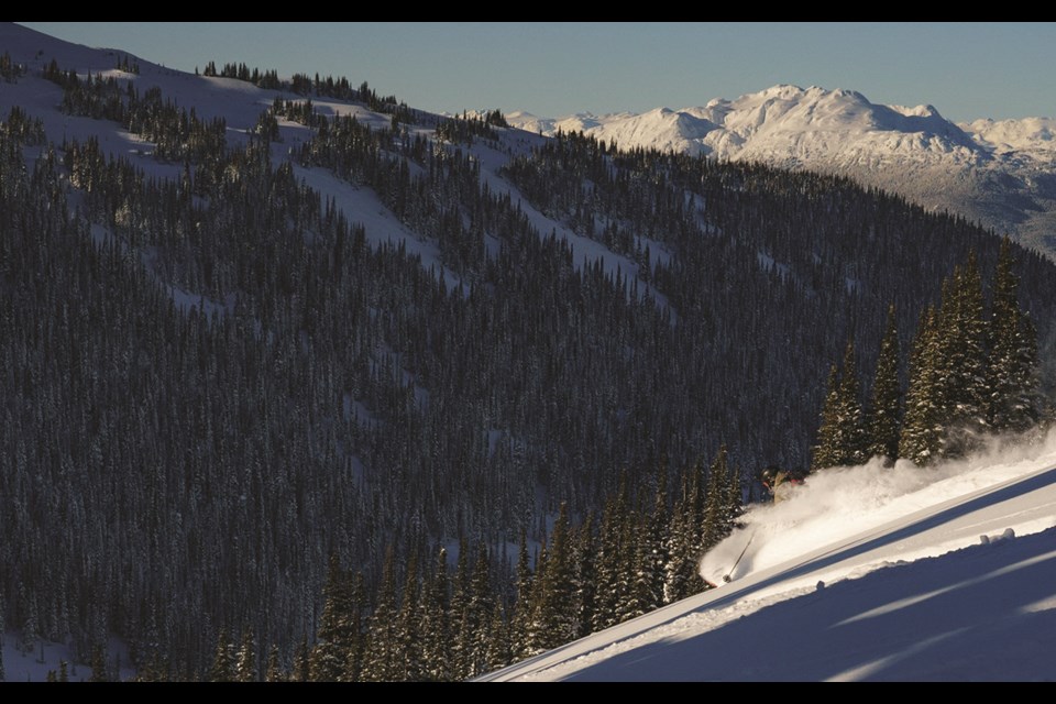 CONDITIONS REPORT Is there anything better than bluebird powder days?