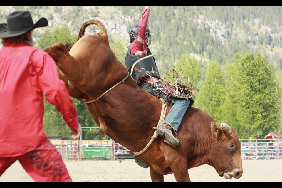 RODEO ROUNDUP Bull rider Kolt Higgy puts his skills to the test during Lil’wat Nation’s Lillooet Lake Rodeo, held in Mount Currie from May 21 to 23. 