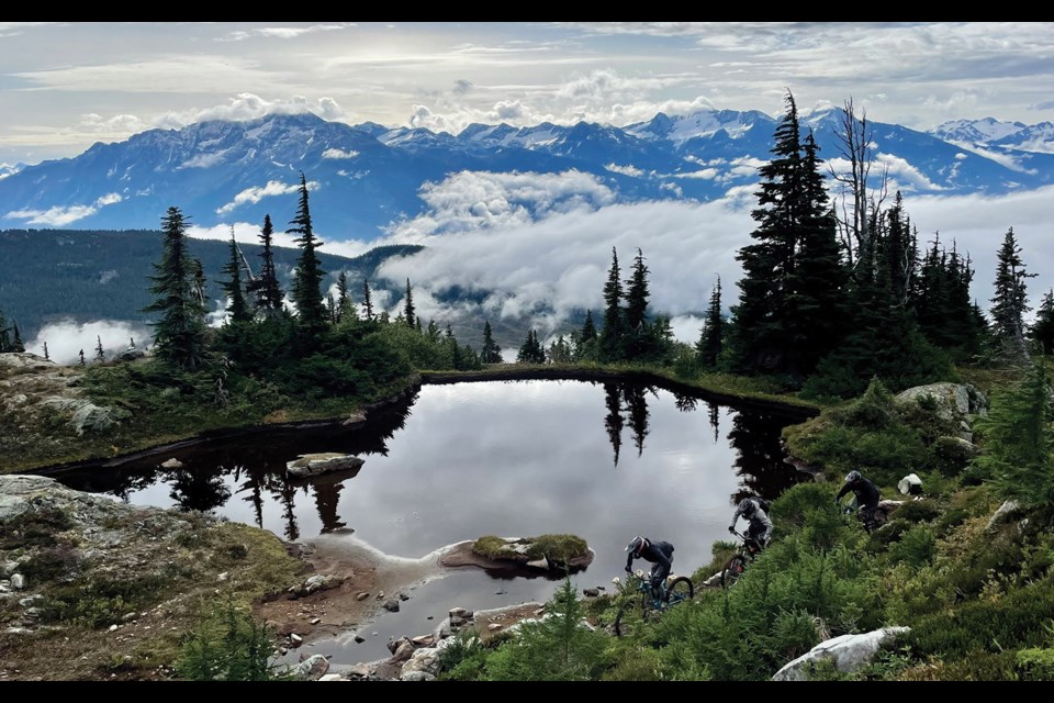 ALPINE ACCESS The new AlpX Expeditions downhill heli-biking trail between Pemberton and Whistler was looking good earlier this September. 