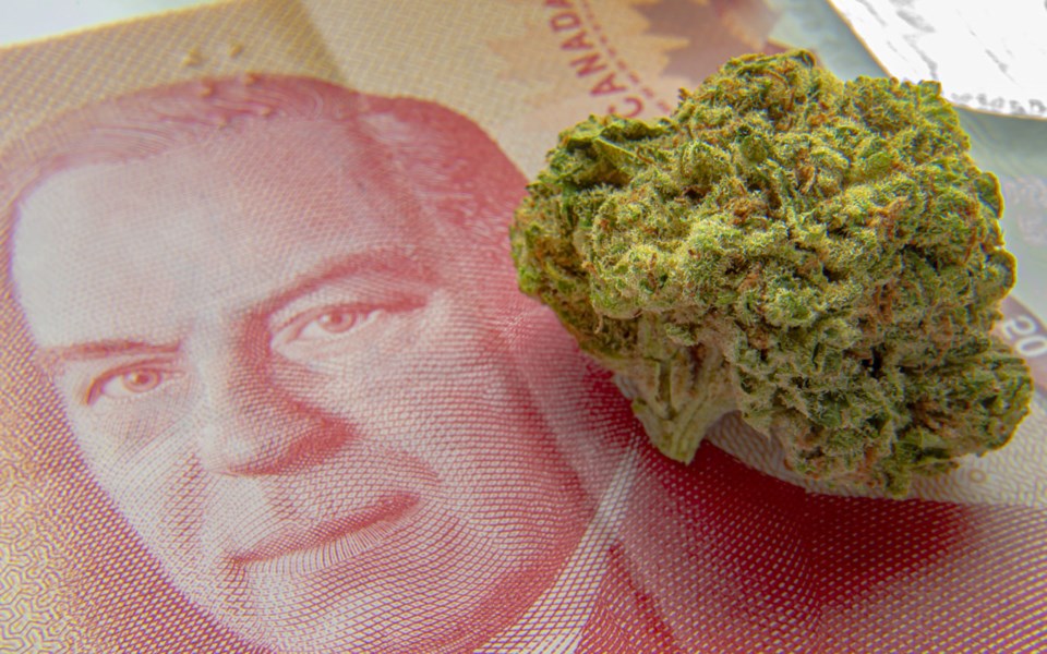 Pemberton-Council-Cannabis-Fees-030221