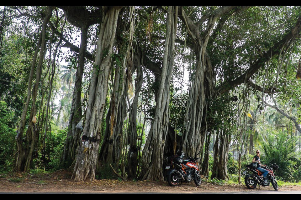South India road trip—The East Coast Highway by motorcycle