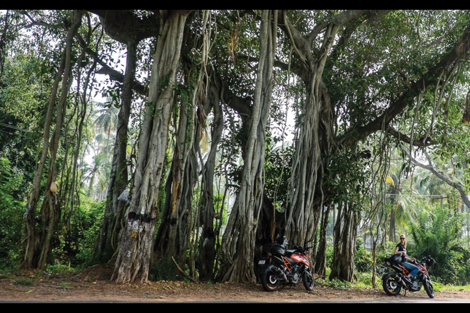 South India road trip—The East Coast Highway by motorcycle