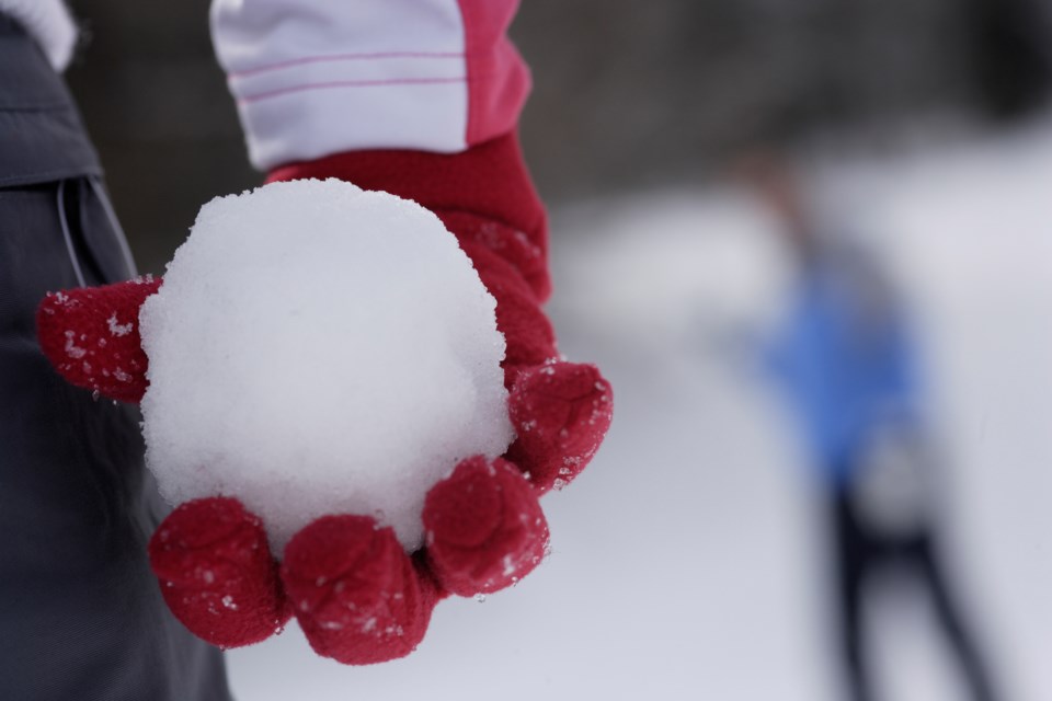 snowballthrowerswhistlerbcrcmp