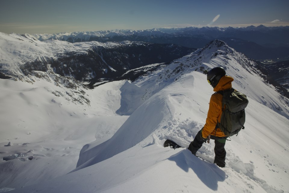 Shaped by Wild marks its world premiere on Feb. 11, 2023.