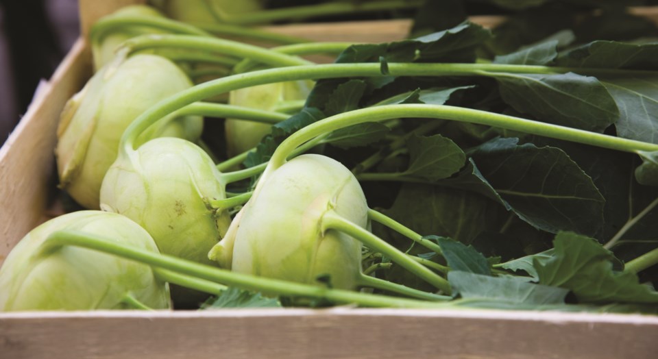 Kohlrabi - By Alder 7 GettyImages-636623652