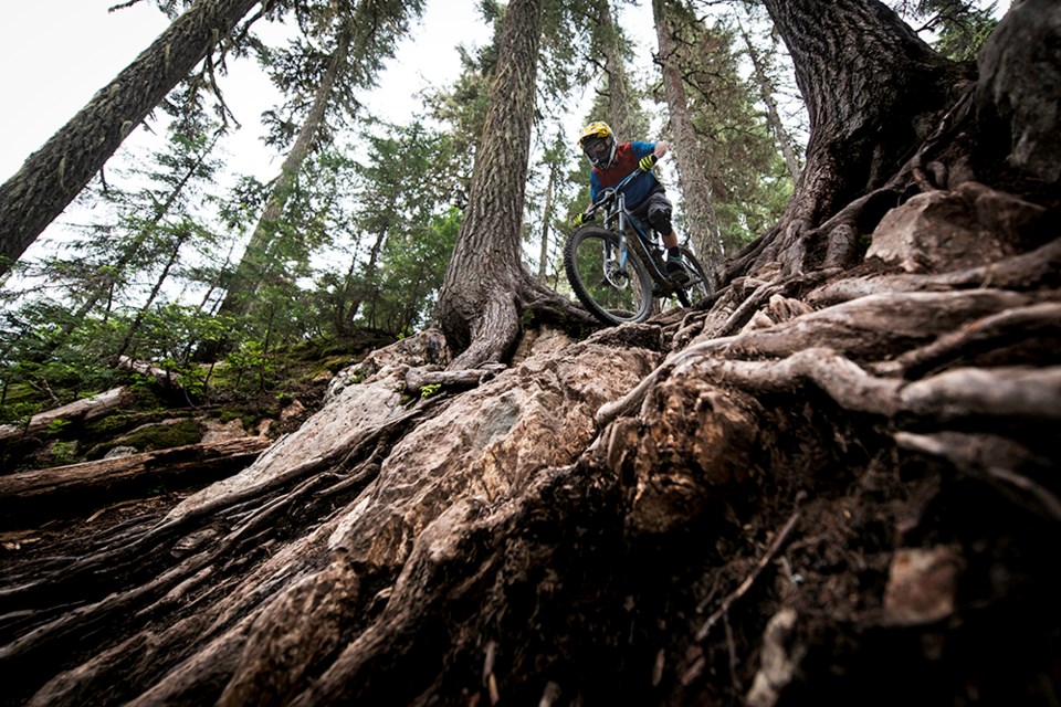 Whistler Mountain Bike Park - garbanzo zone - by Jeremy J Saunders